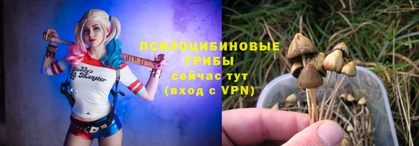прущие грибы Каменногорск