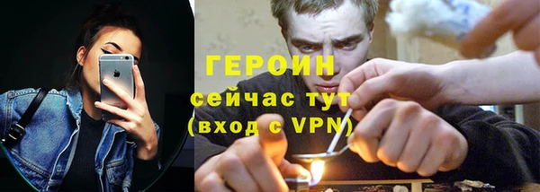прущие грибы Каменногорск
