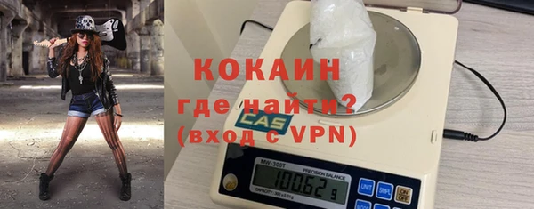 прущие грибы Каменногорск