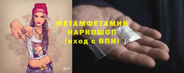 прущие грибы Каменногорск