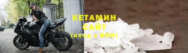 прущие грибы Каменногорск