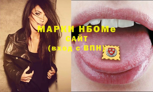 прущие грибы Каменногорск