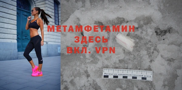 прущие грибы Каменногорск