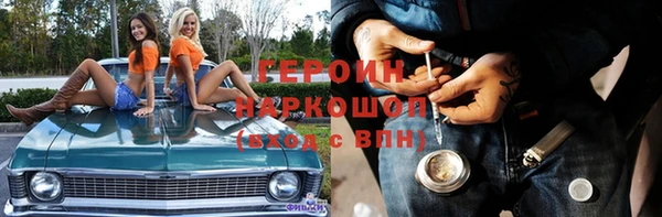прущие грибы Каменногорск