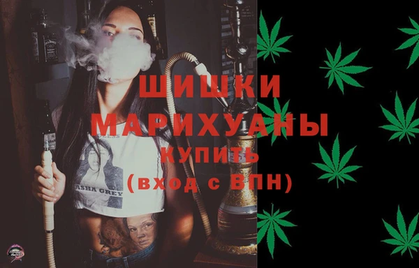 прущие грибы Каменногорск