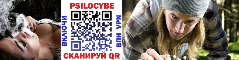 Купить где  Горбатов  Галлюциногенные грибы Cubensis 